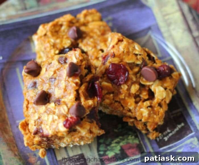 Spiced Pumpkin Cranberry Chocolate Chip Oat Bars 1 featured 11037