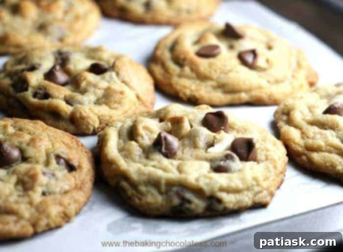 Gourmet Milk Chocolate Cashew Cookies 1 featured 12270