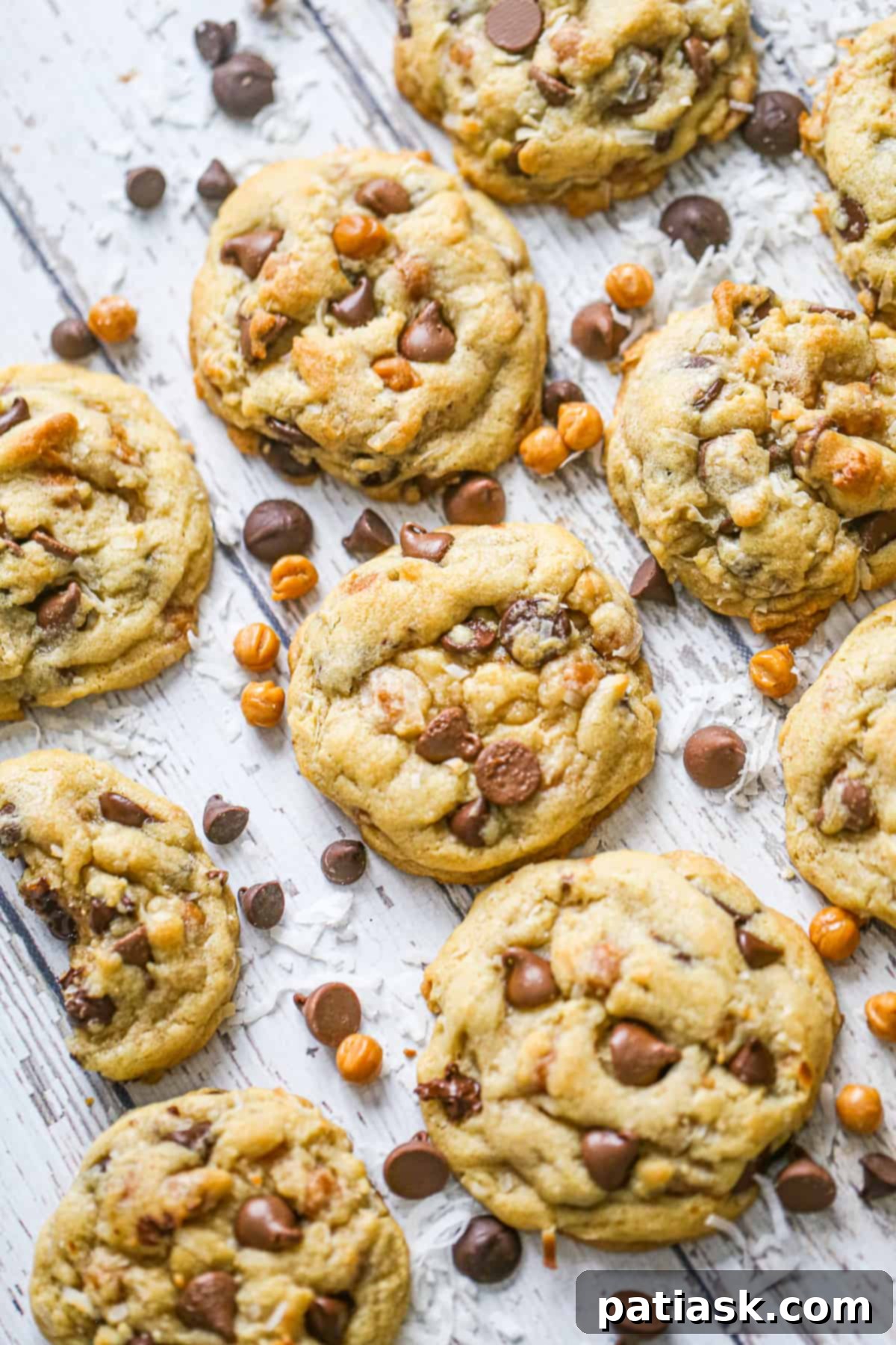 Decadent Samoa Chocolate Chip Delights 1 featured 198617