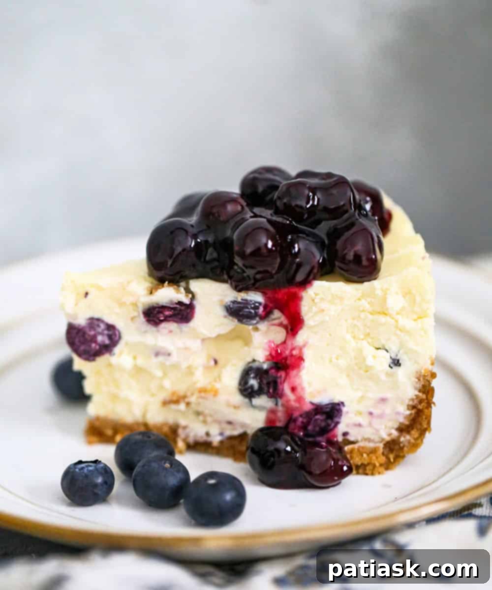 Irresistible Blueberry Cheesecake Perfection 1 featured 209325