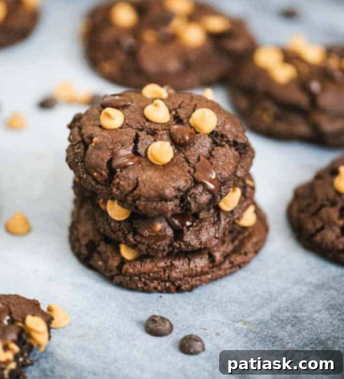 Decadent Double Chocolate Peanut Butter Cookies 1 featured 22351