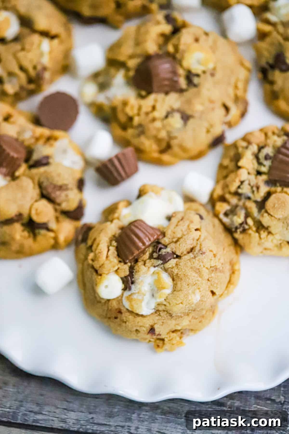 Reese's S'mores Peanut Butter Cookies 1 featured 27263