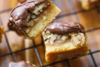Decadent Chocolate Pecan Bars