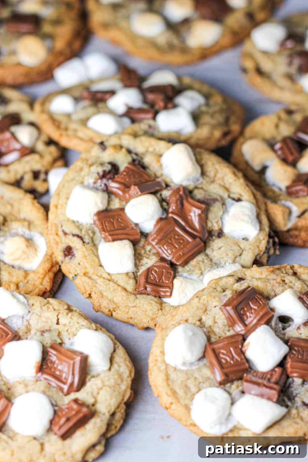 Ultimate Gooey S'mores Chocolate Chip Cookies 1 featured 3171