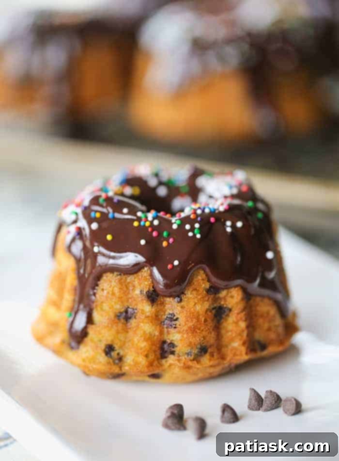 Chocolate Chip Bundtlets 1 featured 32245