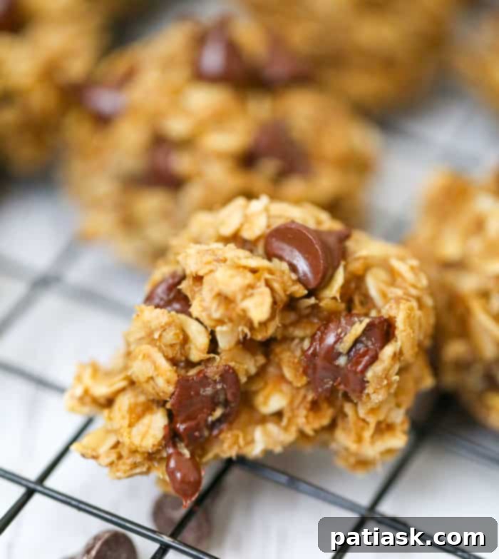 Simple 5-Ingredient Peanut Butter Banana Chocolate Chip Oatmeal Cookies 1 featured 38964
