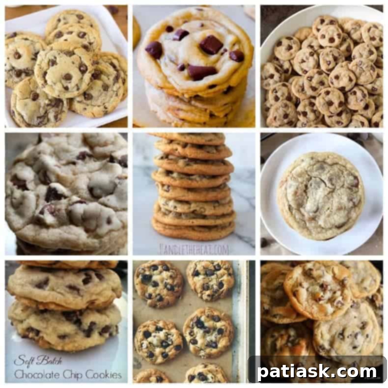 10 Unforgettable Chocolate Chip Cookies 1 featured 4370