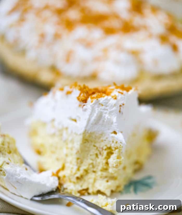 Tropical Cloud Pie 1 featured 49232