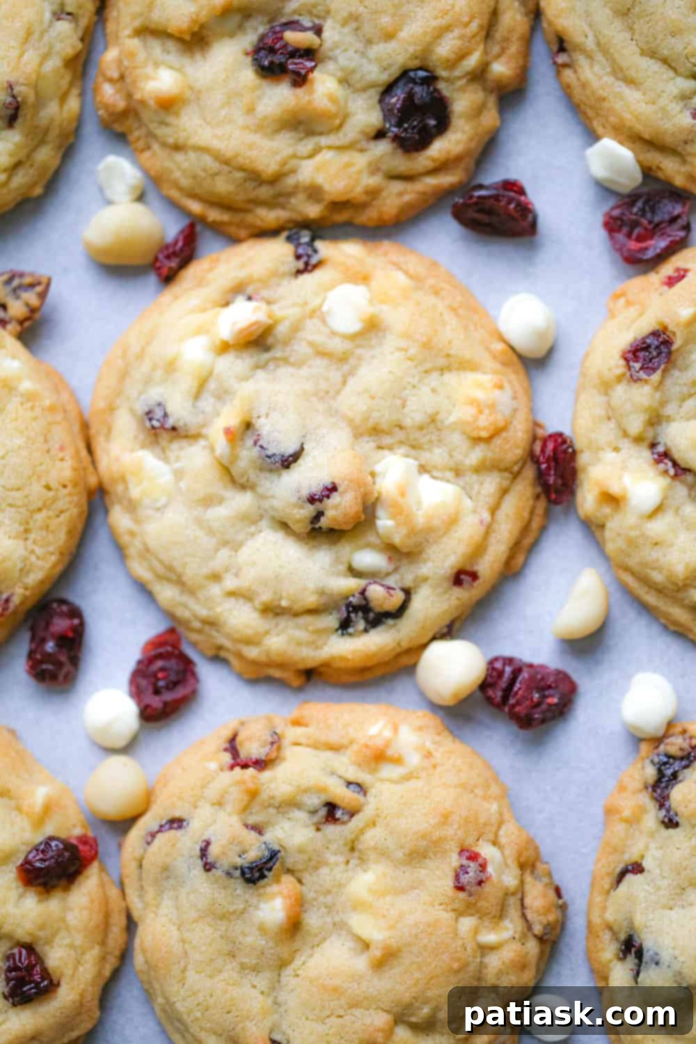Irresistible White Chocolate Cranberry Cookies 1 featured 5262