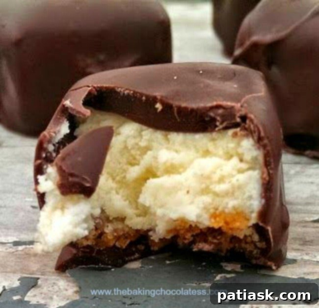 Hazelnut Chocolate Cheesecake Delights 1 featured 6011