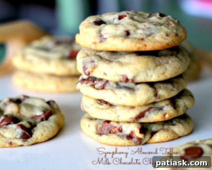 Symphony's Velvety Milk Chocolate Chip Cookies 1 featured 7039