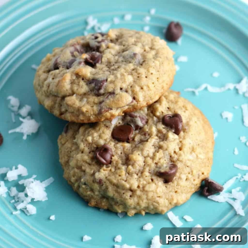 Irresistible Coconut Chocolate Chip Oatmeal Delights 1 featured 7702