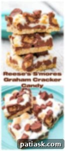 Peanut Butter Cup S'mores 8 Reese's S'mores Graham Cracker Candy