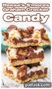 Peanut Butter Cup S'mores 9 Reese's S'mores Graham Cracker Candy