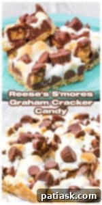 Peanut Butter Cup S'mores 10 Reese's S'mores Graham Cracker Candy