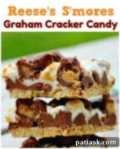 Peanut Butter Cup S'mores 11 Reese's S'mores Graham Cracker Candy