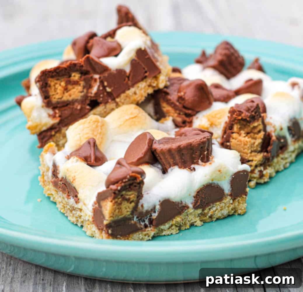 Peanut Butter Cup S'mores 3 s'mores with reese's peanut butter cups