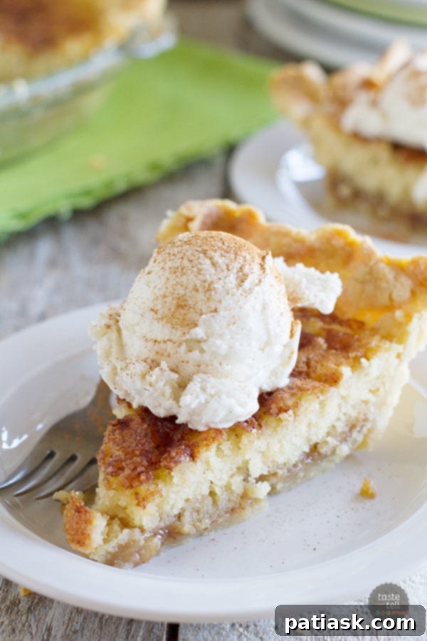 Snickerdoodle-Pie-tasteandtellblog.com-1 9. cinnamon sugar Pie @ Taste and Tell