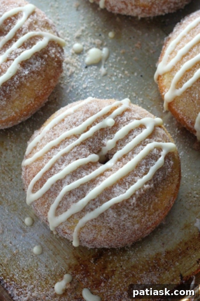 IMG_7679-682x1024 Brown Butter Eggnog cinnamon sugar Snickerdoodle Donuts - GF @ Baker by Nature