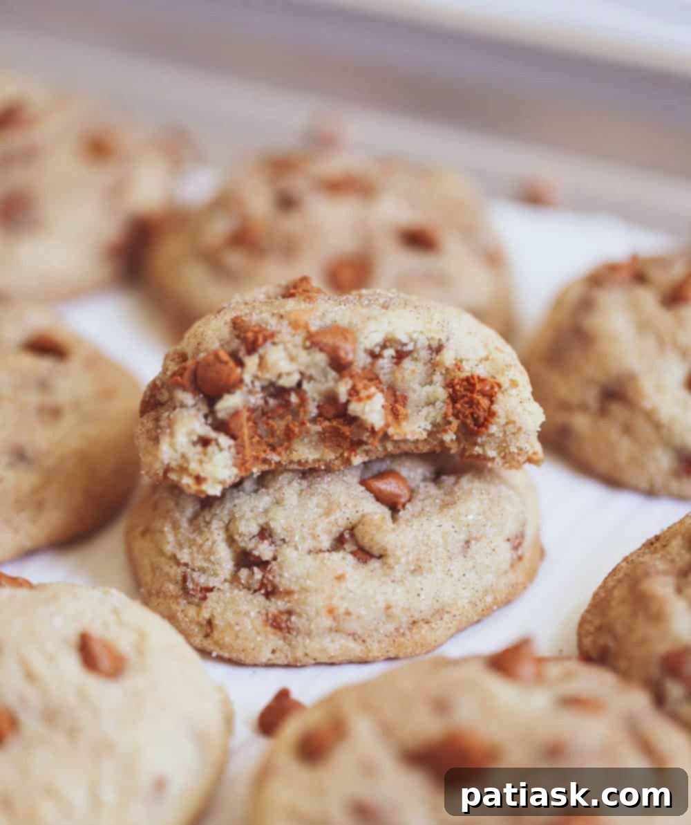 Snickerdoodle Celebration Sweet Treats 3 Snickerdoodle Cinnamon Chip Cookies