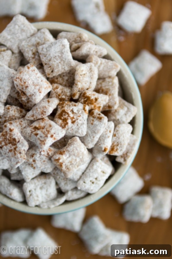 Peanut-Butter-Snickerdoodle-Muddy-Buddies-5-of-7 snickerdoodle dessert recipes