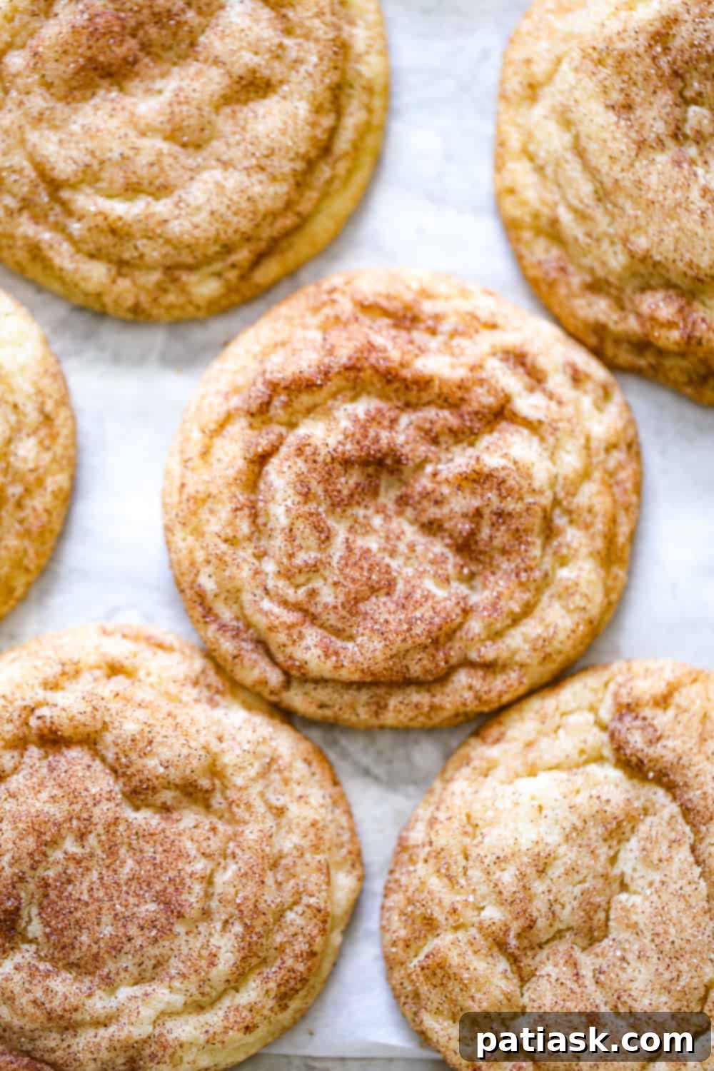 Snickerdoodle Celebration Sweet Treats 4 Soft cinnamon sugar Snickerdoodle Cookies