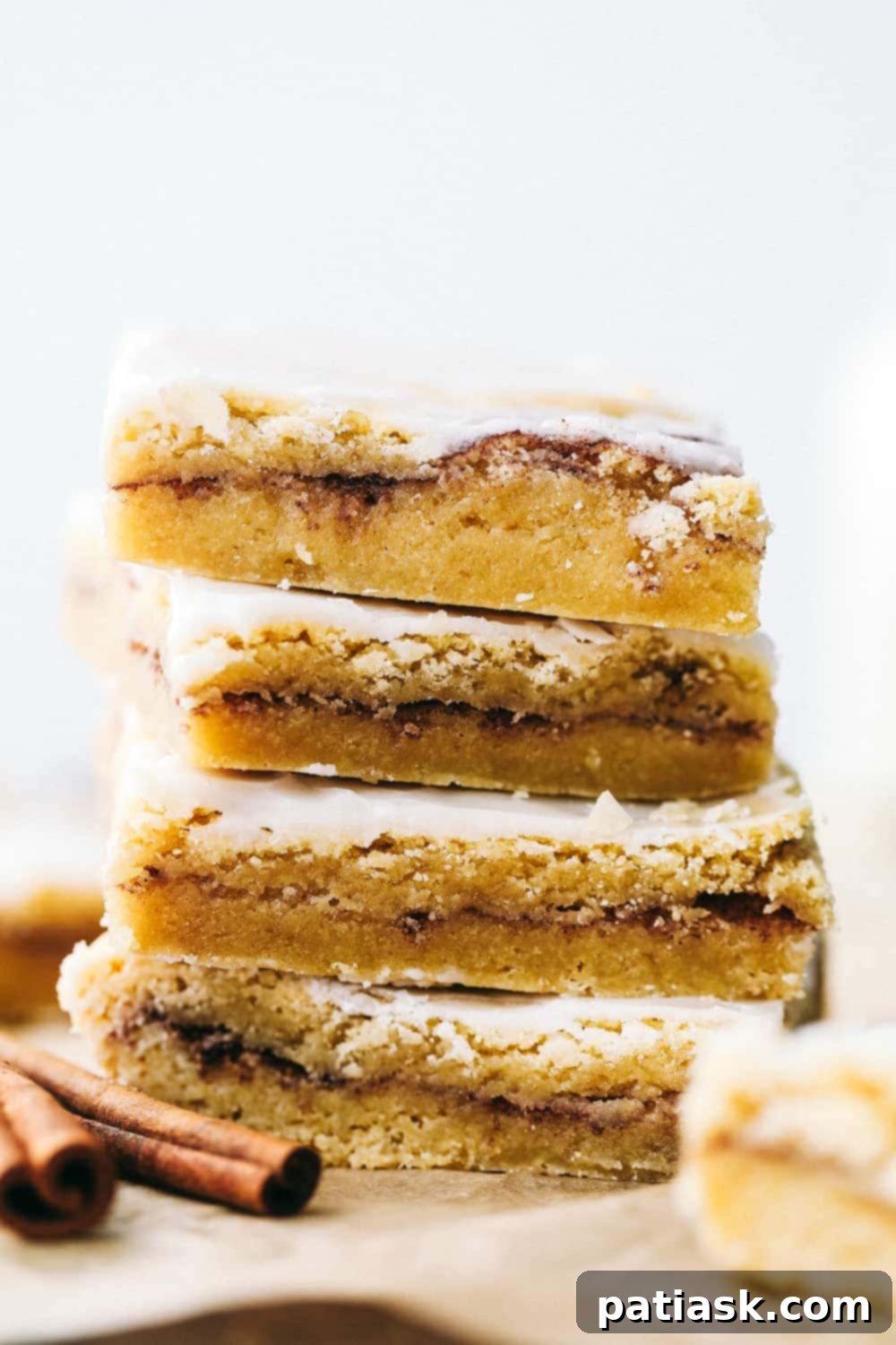 Snickerdoodle Celebration Sweet Treats 5 cinnamon sugar party fun