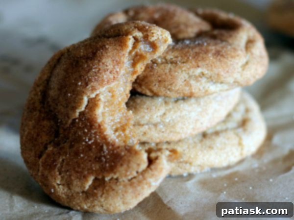 IMG_65291-1024x766 20. Brown Butter Snickerdoodle Cookies @ Ambitious Kitchen