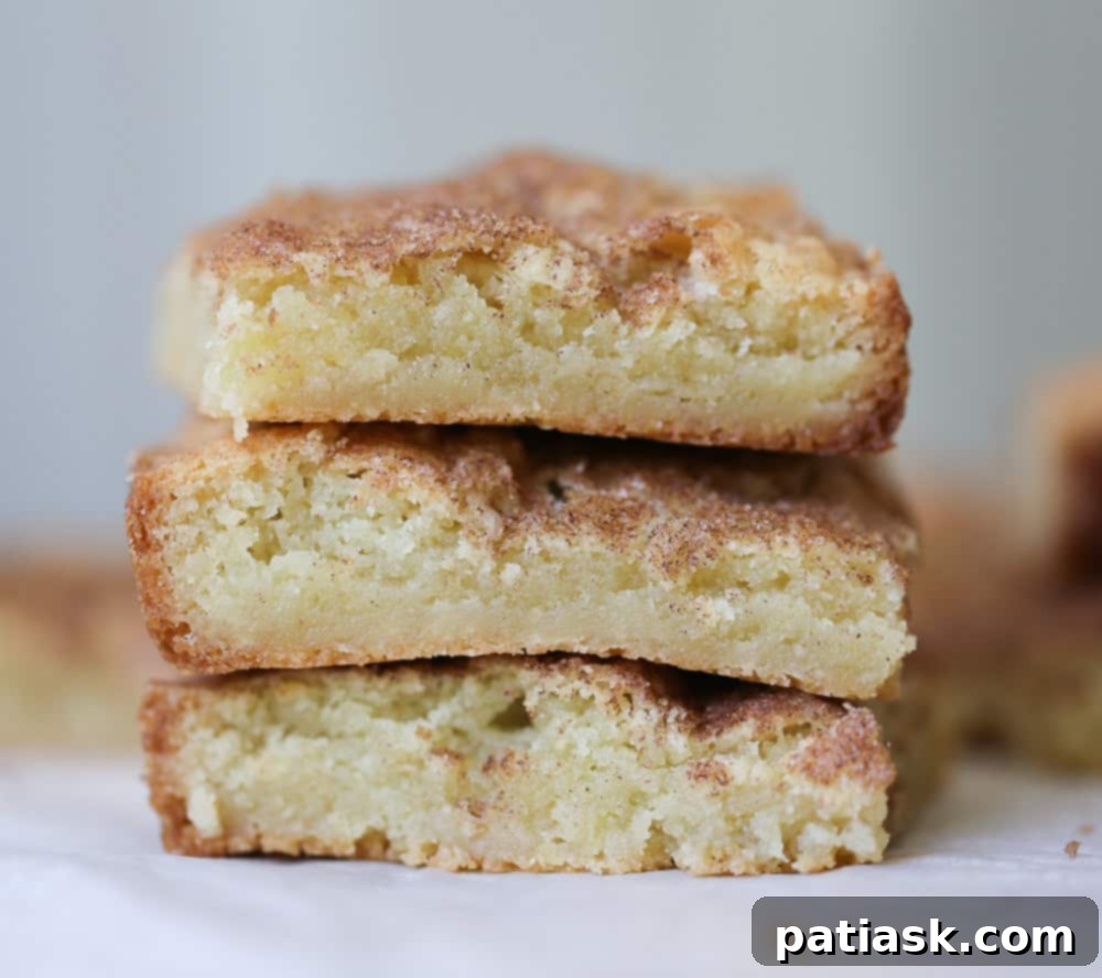 IMG_1783 22. Homemade Snickerdoodle Cookie Bars @ The Baking ChocolaTess