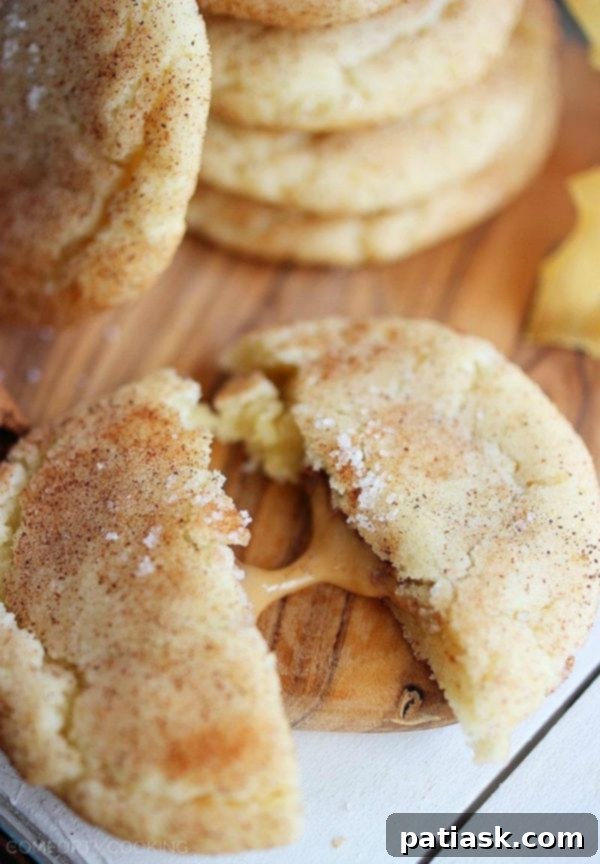 clip_image002 snickerdoodle dessert recipes