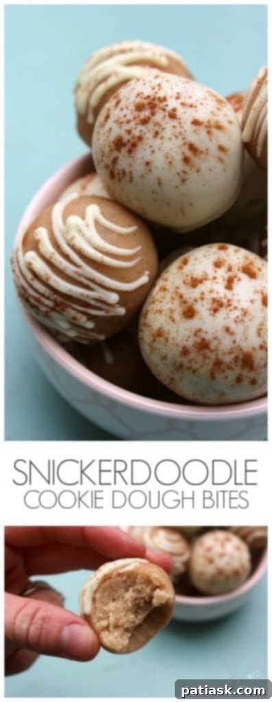 Snickerdoodle-Cookie-Dough-Bites-Pin 4. Cookie Dough Bites @ A Dash of Sanity - snickerdoodle dessert recipes