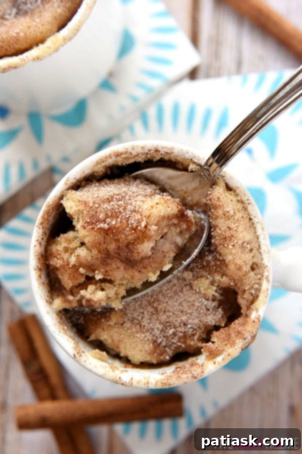 Snickerdoodle-Mug-Cake-Recipe-1-Minute-Microwave-by-Five-Heart-Home_700pxSpoon 6. cinnamon sugar Snickerdoodle Mug Cake @ Five Heart Home