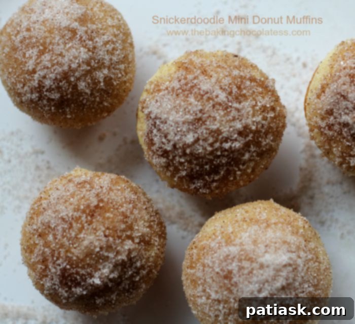 Snickerdoodle-Mini-Donut-Muffins66 7. cinnamon sugar snickerdoodle Mini Donut Muffins @ The Baking ChocolaTess - snickerdoodle dessert recipes