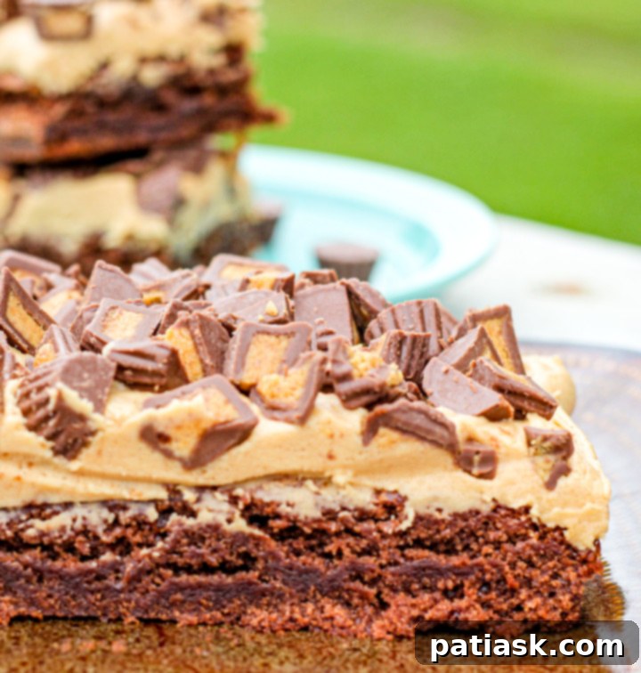 Decadent Reese's Peanut Butter Brownies 6 Ingredients laid out for Reese's Peanut Butter Cup Brownies recipe.