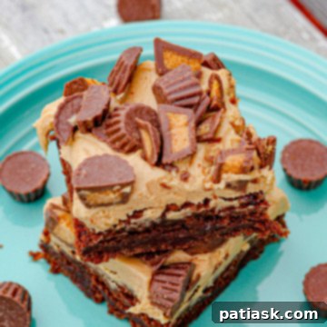 Decadent Reese's Peanut Butter Brownies 10 Brownies with peanut butter cups
