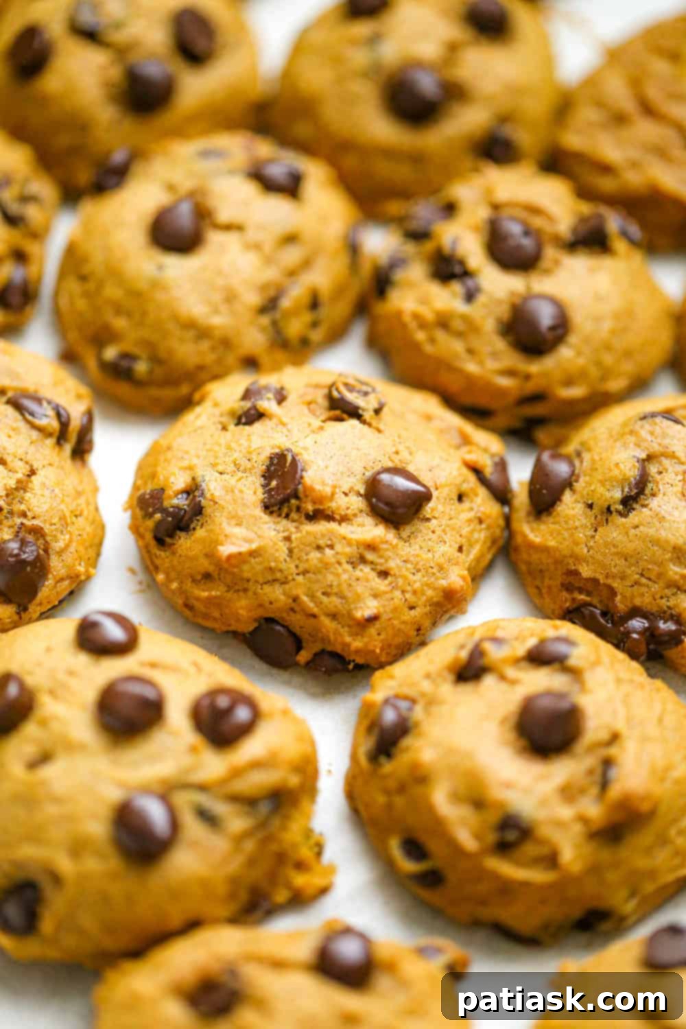 Cozy Autumn Pumpkin Chocolate Chip Cookies 2 Pumpkin Chocolate Chip Cookies - a classic fall dessert