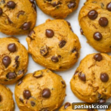 Cozy Autumn Pumpkin Chocolate Chip Cookies 8 Old Fashioned Pumpkin Chocolate Chip Cookies