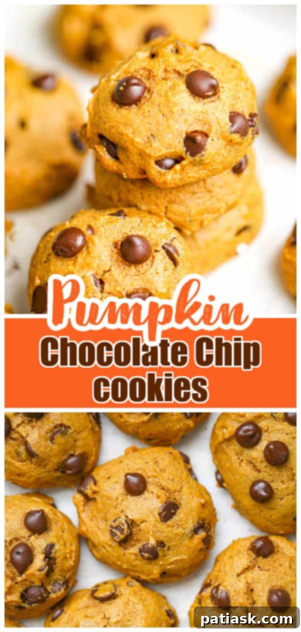 Cozy Autumn Pumpkin Chocolate Chip Cookies 9 Super Easy Pumpkin Chocolate Chip Cookies