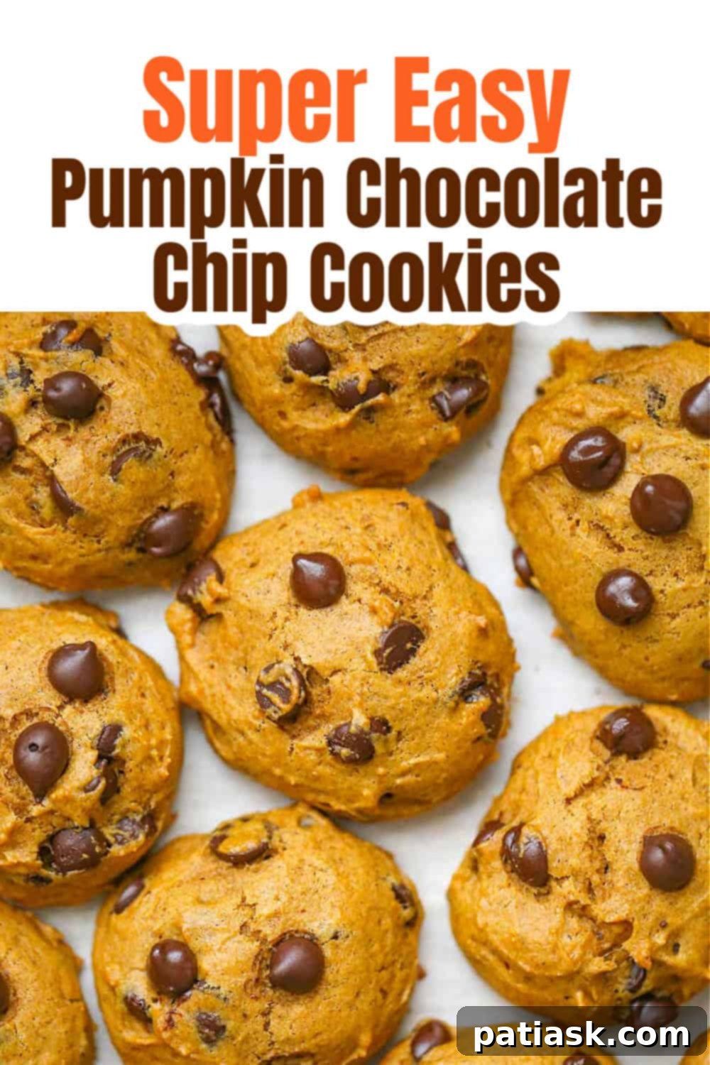 Cozy Autumn Pumpkin Chocolate Chip Cookies 10 Super Easy Pumpkin Chocolate Chip Cookies