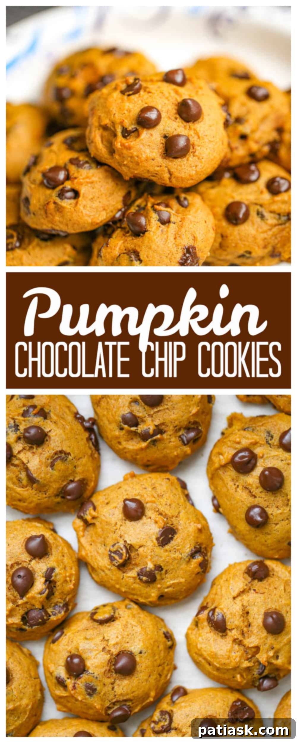 Pumpkin Chocolate Chip Cookies
