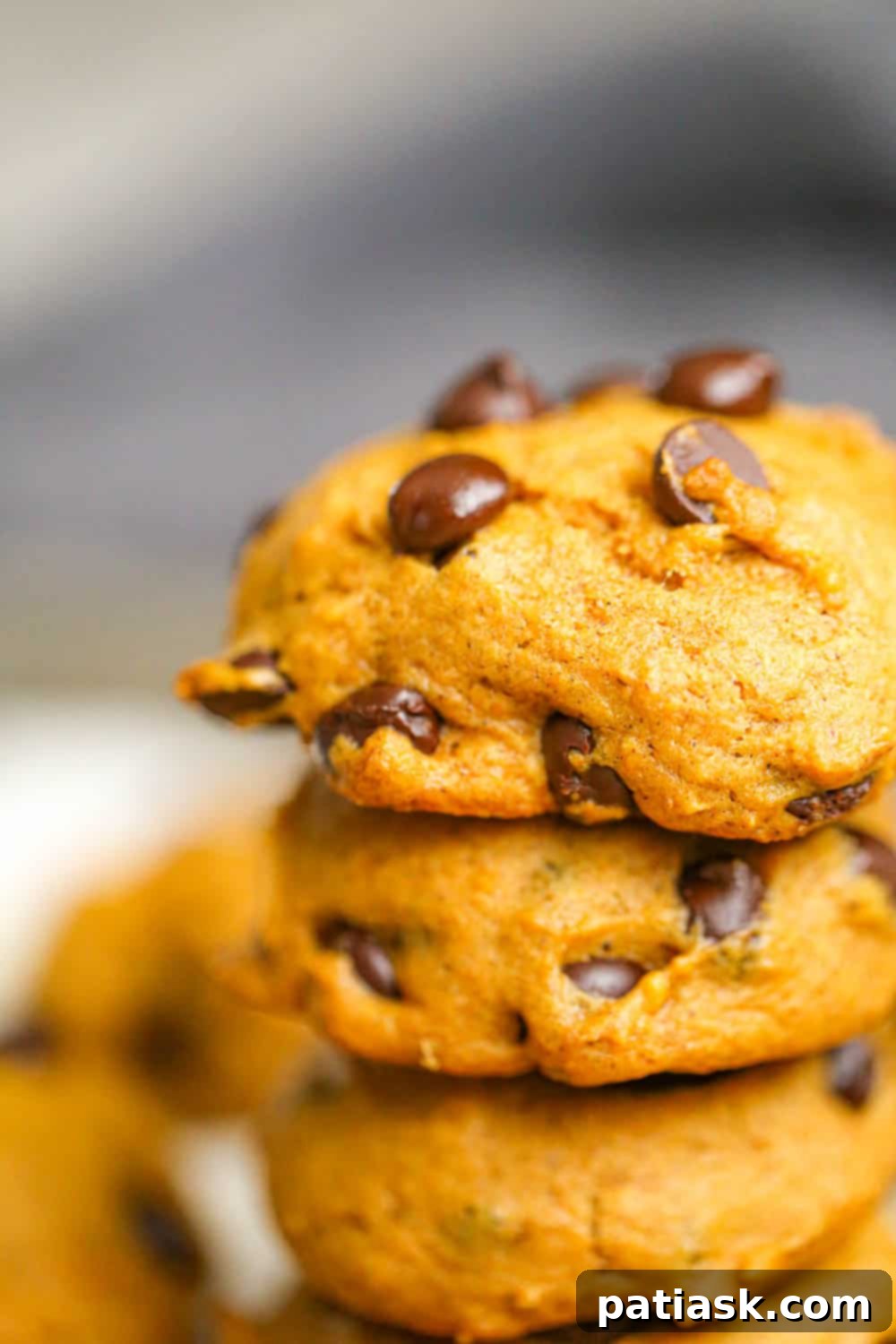 Cozy Autumn Pumpkin Chocolate Chip Cookies 4 stack Pumpkin Chocolate Chip Cookies
