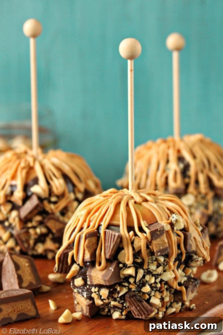 Peanut Butter Caramel Apples with Chocolate and Peanuts