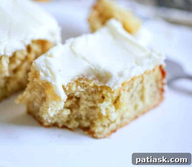 20 Top Bars for Crisp Autumn Evenings 17 Yummy Sour Cream Banana Bars