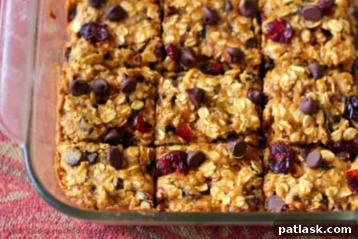 Spiced Pumpkin Cranberry Chocolate Chip Oat Bars 2 Pumpkin Cranberry Chocolate Chip Oatmeal Bars