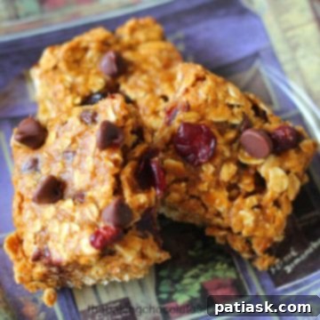 Spiced Pumpkin Cranberry Chocolate Chip Oat Bars 6 Pumpkin Cranberry Chocolate Chip Oatmeal Bars