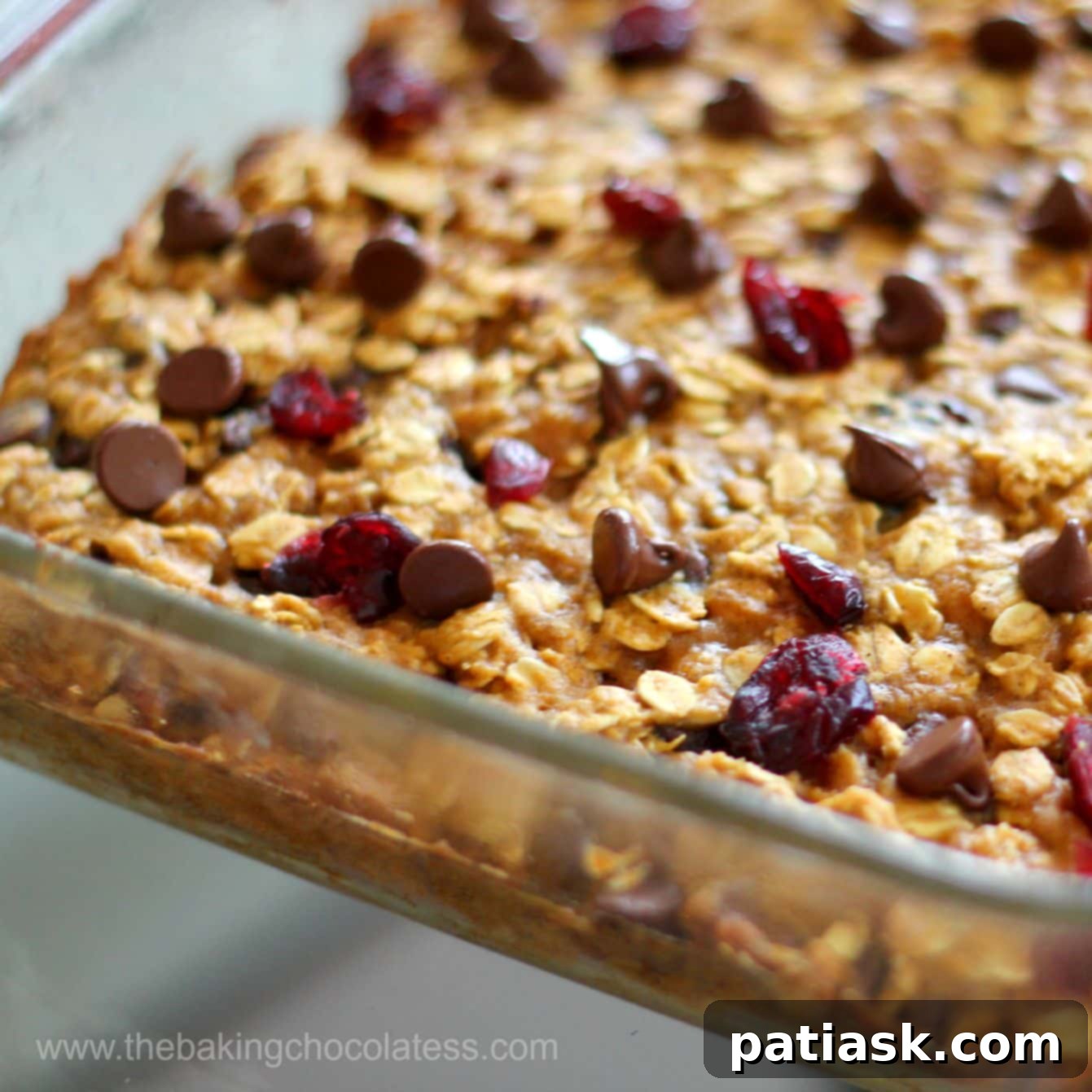 Spiced Pumpkin Cranberry Chocolate Chip Oat Bars 4 Pumpkin Cranberry Chocolate Chip Oatmeal Bars