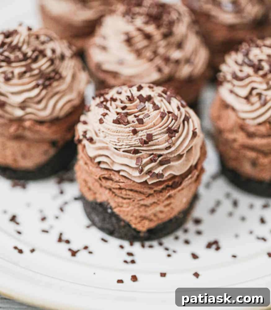 Decadent Triple Chocolate Cheesecakes 2 Decadent no-bake mini triple chocolate cheesecakes on a white platter