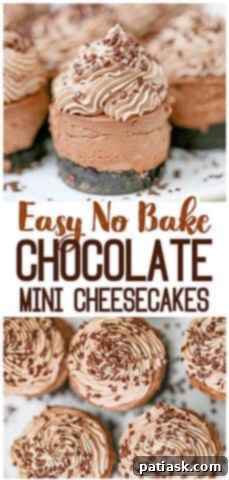 Decadent Triple Chocolate Cheesecakes 7 Easy No Bake chocolate cheesecakes
