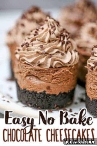 Decadent Triple Chocolate Cheesecakes 8 Triple Chocolate Cheesecakes