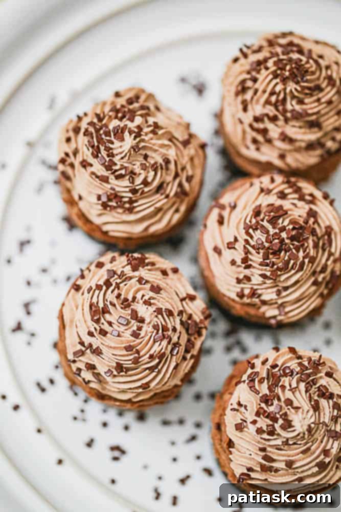 Decadent Triple Chocolate Cheesecakes 3 Close-up of a single no-bake mini chocolate cheesecake topped with chocolate curls